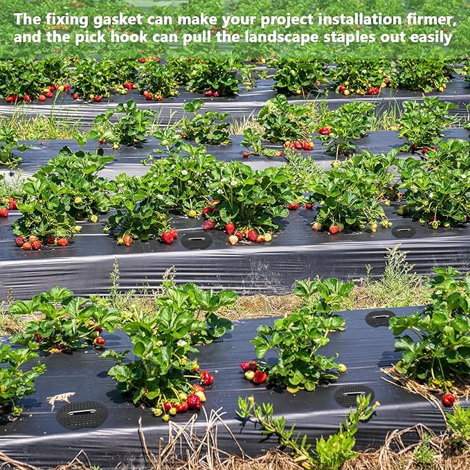 BDS-HOME 100sets Heavy Duty Garden Landscape Staples and Fixing Gasket with 1pc Pick Hook, 11 Gauge U Shaped Lawn Staples for Irrigation Hoses, Yard Weed Barrier, Fences and Tents, Decorations Fixed