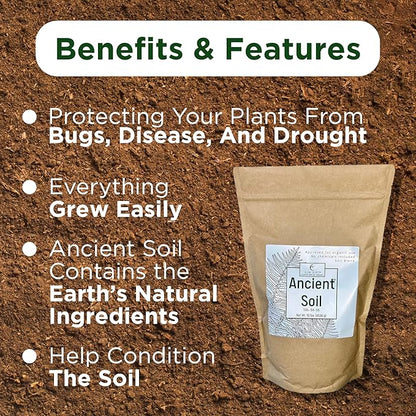 Elm Dirt Premium Ancient Soil for All Plants - Organic for Outdoor & Indoor Use | Garden Soil for Plant Nutrients Growth & Protect From Bugs - Roots Organic, 10lbs