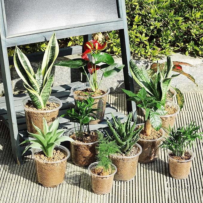 60 Pack 4 Inch Clear Nursery Pots with Drainage Holes, Transparent Plastic Plant Pot, Reinforced Seed Starter Pots Flower Pots Come with 50pcs Plant Labels