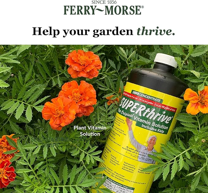 SUPERthrive Plant Vitamin Solution, 1 Pint