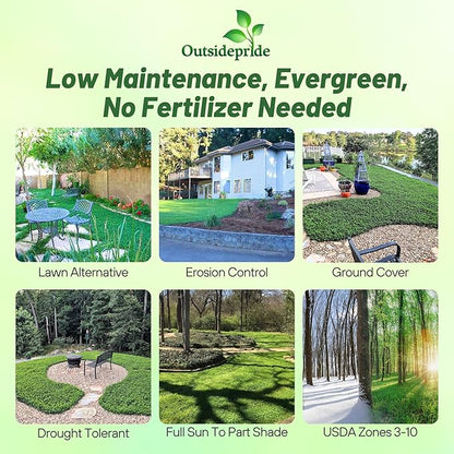 Outsidepride Perennial White MiniClover Seed - 5 lb. Dwarf, Small-Leaved, Drought & Wear-Tolerant Micro Clover Seeds for Lawn, Ideal Low-Maintenance & Easy to Grow Ground Cover Seeds for Home Yard