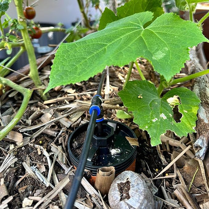 Thirsty Earth: CottaCup Automatic Olla Watering System for Your Garden (3 Cup Kit)