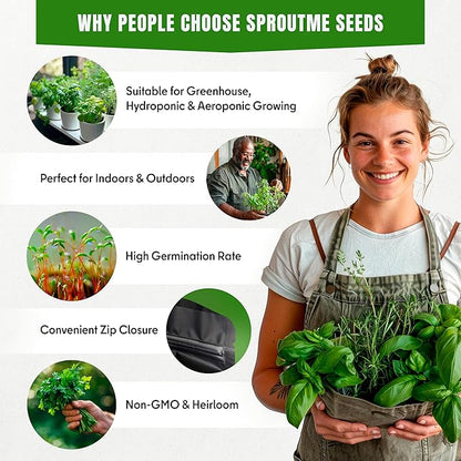 Fall & Winter Fennel Seeds for Indoor & Outdoor Planting – 150+ Non-GMO Heirloom USA-Grown Culinary Herb & Herbal Tea, Aromatic, High Germination (Foeniculum vulgare)