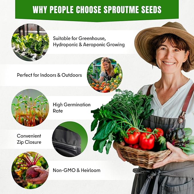 Fall & Winter Broccoli Seeds for Indoor & Outdoor Planting – 300+ Non-GMO Heirloom USA-Grown Tender Heads & Florets, High Germination (Brassica oleracea VAR. Italica)