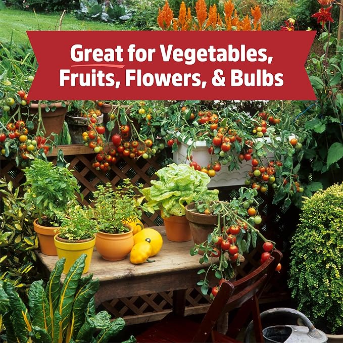 Back to The Roots 100% Organic Bone Meal | Made in The USA | Premium Nutrition for Indoor and Outdoor Plant Gardening