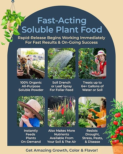 Organic Plant Magic - Truly Organic™ Fast-Acting Soluble Plant Food: All-Purpose Fertilizer Concentrate for All Flower Vegetable Herb Fruit Tree Shrub Container Garden & House Plants [One 1 lb Bag]