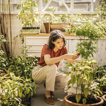 Fiskars Micro-Tip Rose Pruning Shears, 6" Garden Shears Non-Stick Coated Stainless Steel Blade, Gardening Scissors with SoftGrip Handle