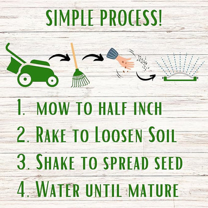 Flawn Seed Dutch White Clover Seed, 5 Lbs, Organic Coated, Natural Lawn, Ground Cover, Food Plot, Zones 3-9, Covers up to 18,000 Sqft