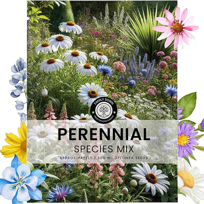 Perennial Species Mix - Large 5g Envelope - 2,500 Flower Seeds for Planting - Wildflower Mix