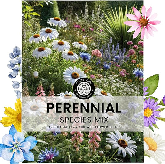 Perennial Species Mix - Large 5g Envelope - 2,500 Flower Seeds for Planting - Wildflower Mix