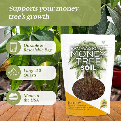 Professional Money Tree Soil | Large 2.2 Quarts Ready to Use for Money Tree Plants | Peat Moss, Coco Coir, Perlite, Dolomite | Made in USA