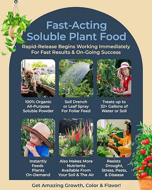 Organic Plant Magic - Truly Organic™ Fast-Acting Water Soluble Plant Food - All-Purpose Fertilizer Concentrate for Flower, Vegetable, Herb, Fruit Tree, Garden & Indoor Houseplants [One 1/2 lb Bag]