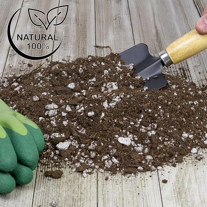 Soil Sunrise Olive Tree Potting Soil Mix (8 Quarts) for Planting, Repotting, and Growing Olive Bushes/Plants