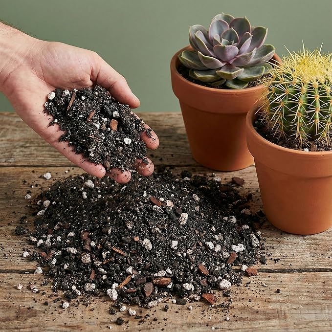 Soil Sage Cactus & Succulent Potting Mix 2.5Qt - Premium Fast Draining Soil for Indoor Plants and Aloe Vera - High Drainage Blend for Healthy Roots and Growth - Made in USA (Cactus / 2.5 QT)