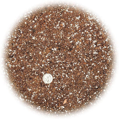 GARDENERA Organic Potting Soil for Tomato Plants - 2 Quart - Hand-Mixed with Natural Ingredients for Optimal Growth and Nutrient Retention