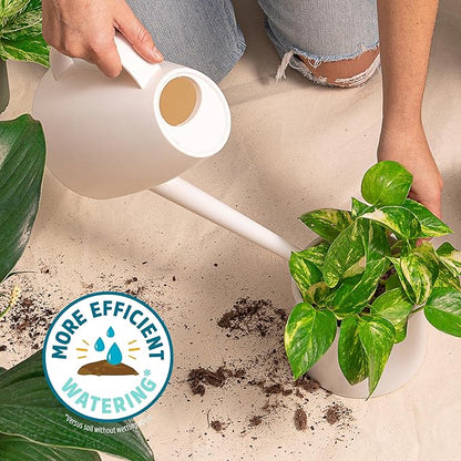 Back to The Roots 100% Organic Indoor Potting Mix (Value 12 Quart) | Promotes Healthy Houseplant Growth| Made in The USA