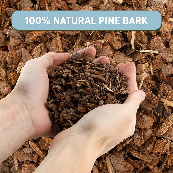 100% Organic Material All Natural Orchid Bark (8 Quarts), Long Lasting All Natural, High Flowering and Aeration for Orchid Plants, Vanda,Phalaenopsis, Cattleya and Houseplant Repotting