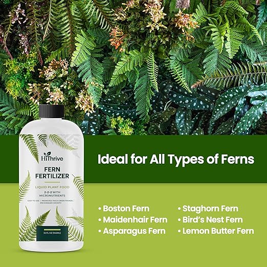 32oz Fern Fertilizer - Makes 64 Gallons of Fertilizer for Ferns, Nutrient-Rich Indoor Plant Food for Greener Growth and Dense, Resilient Fronds with Intricate Texture - Ideal for All Fern Plant Live