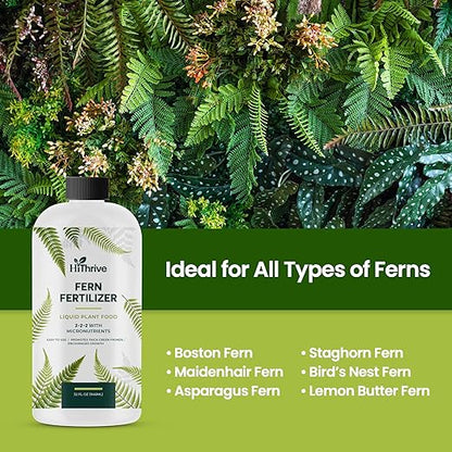 32oz Fern Fertilizer - Makes 64 Gallons of Fertilizer for Ferns, Nutrient-Rich Indoor Plant Food for Greener Growth and Dense, Resilient Fronds with Intricate Texture - Ideal for All Fern Plant Live