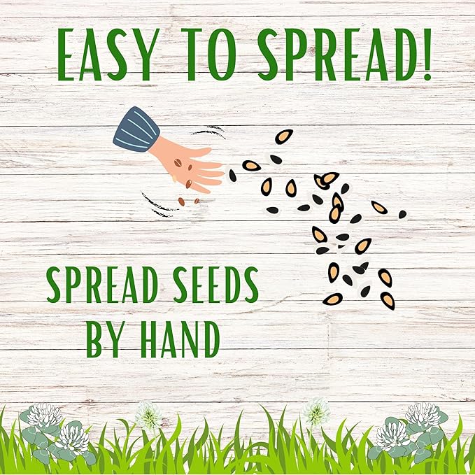 Flawn Seed White Dutch Clover Seeds, 2 Lbs, Organic Coated, Natural Lawn, Ground Cover, Food Plot, Zones 3-9, Covers up to 7,200 Sqft