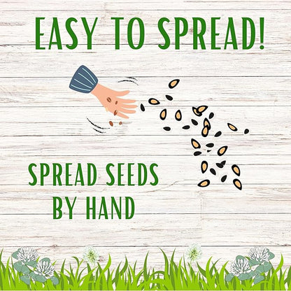 Flawn Seed Kits White Dutch Clover Seed, 1 Lb, Organic Coated, Natural Lawn, Ground Cover, Hunting Food Plot, Covers up to 3,600 Sqft