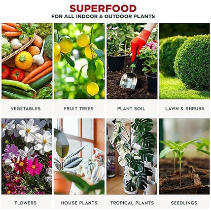 GARDENERA Premium Organic Seaweed & Kelp Superfood for Lemon Plants - 32 oz - Liquid Kelp Fertilizer Concentrate (Makes 180 Gallons)