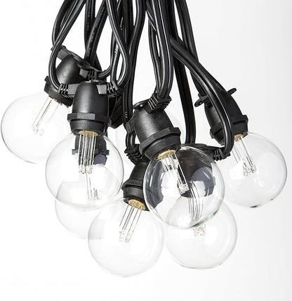Hometown Evolution, Inc. 25 Foot C9 Commercial LED G50 Globe String Lights with 20 LED G50 Clear 2 Inch .6 Watt Bulbs and Black Wire