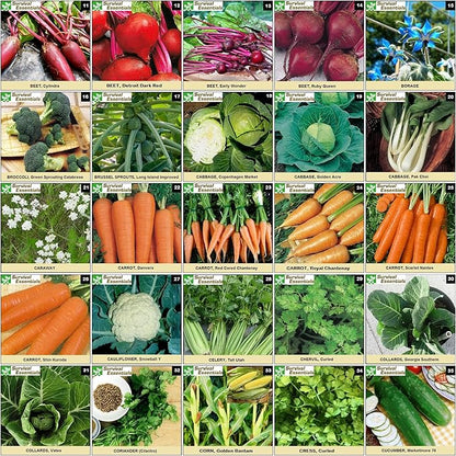 Heirloom Seeds for Planting Vegetables and Fruits - Survival Essentials 135 Variety Seed Vault - Medicinal Herb Seeds - Grow Healthy Non-GMO Food