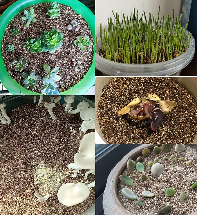 20 QT Professional Grade Horticultural Organic Vermiculite (20 QT, Vermiculite)