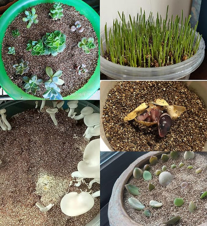 30 QT Professional Grade Horticultural Organic Vermiculite (30 QT, Vermiculite)