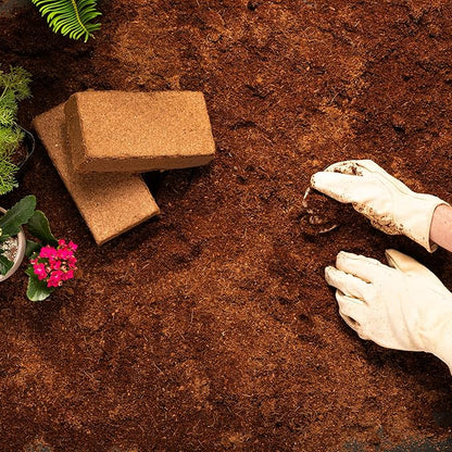 Coco Coir Brick (650gms) - Organic Coco Coir for Plants & Gardening - OMRI-Listed Cocopeat for Garden Soil, Seed Starter Soil, & Mulch - Coconut Coir Brick - Coconut Fiber Potting Mix