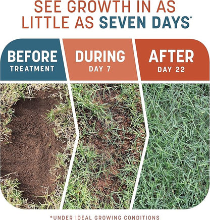 Pennington Smart Patch Bermudagrass Mix Jug 5 lb