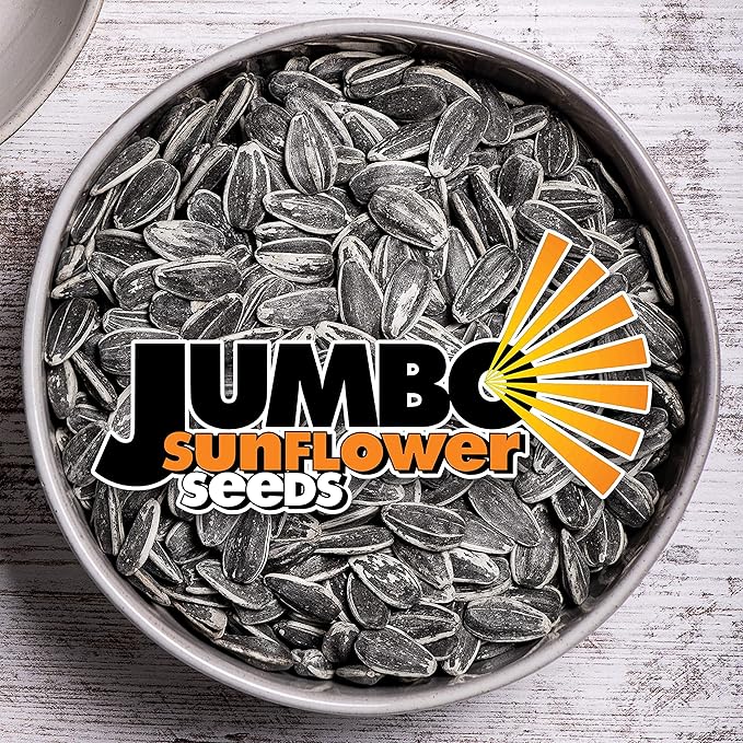 JUMBO SUNFLOWER SEEDS, Ranch, 16-Ounce (Pack of 6)